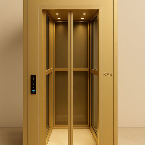 home Elevator 12